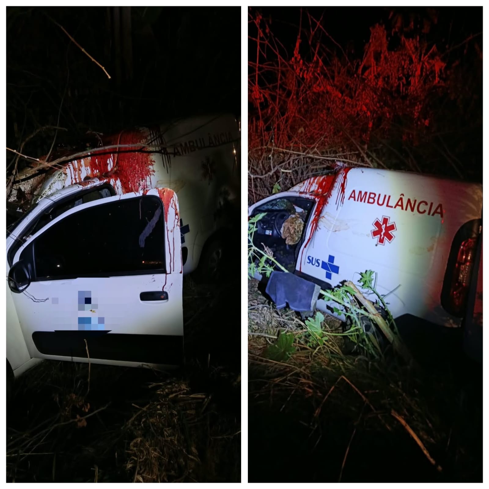 Ambulância atropela cavalo na Estrada da Produção em Montes Claros