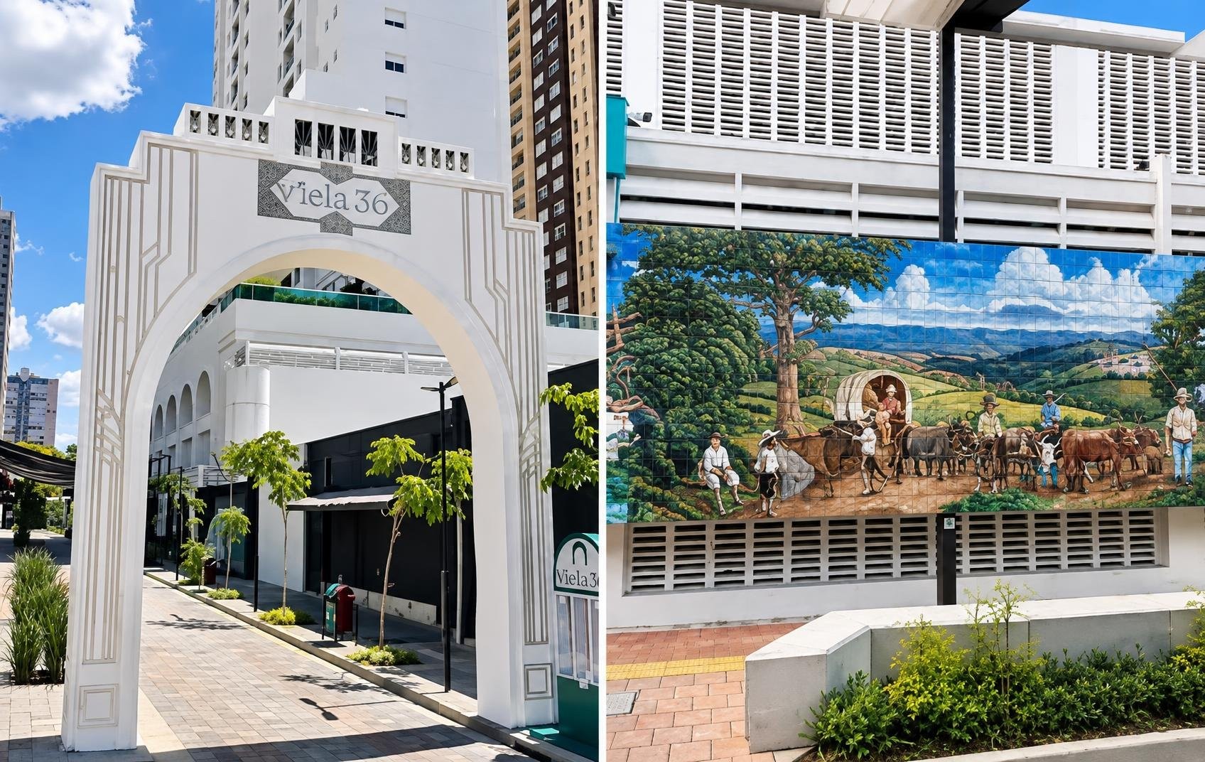 Viela 36 em Goiânia vira calçadão cultural com museu a céu aberto e espaço pet