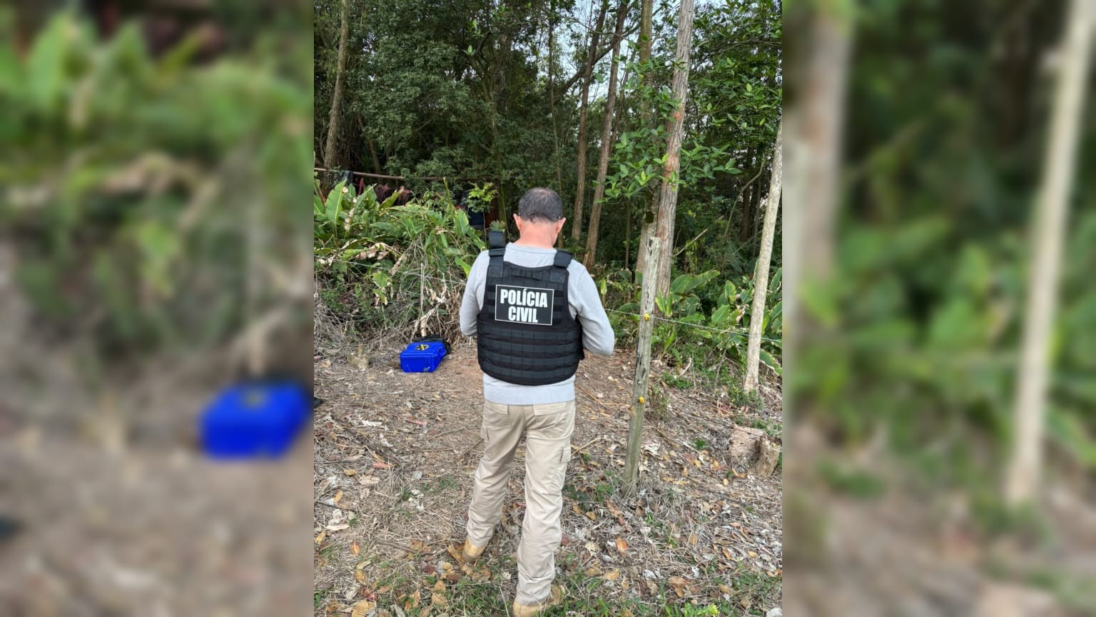 Corpos de três homens são encontrados carbonizados em Sangão