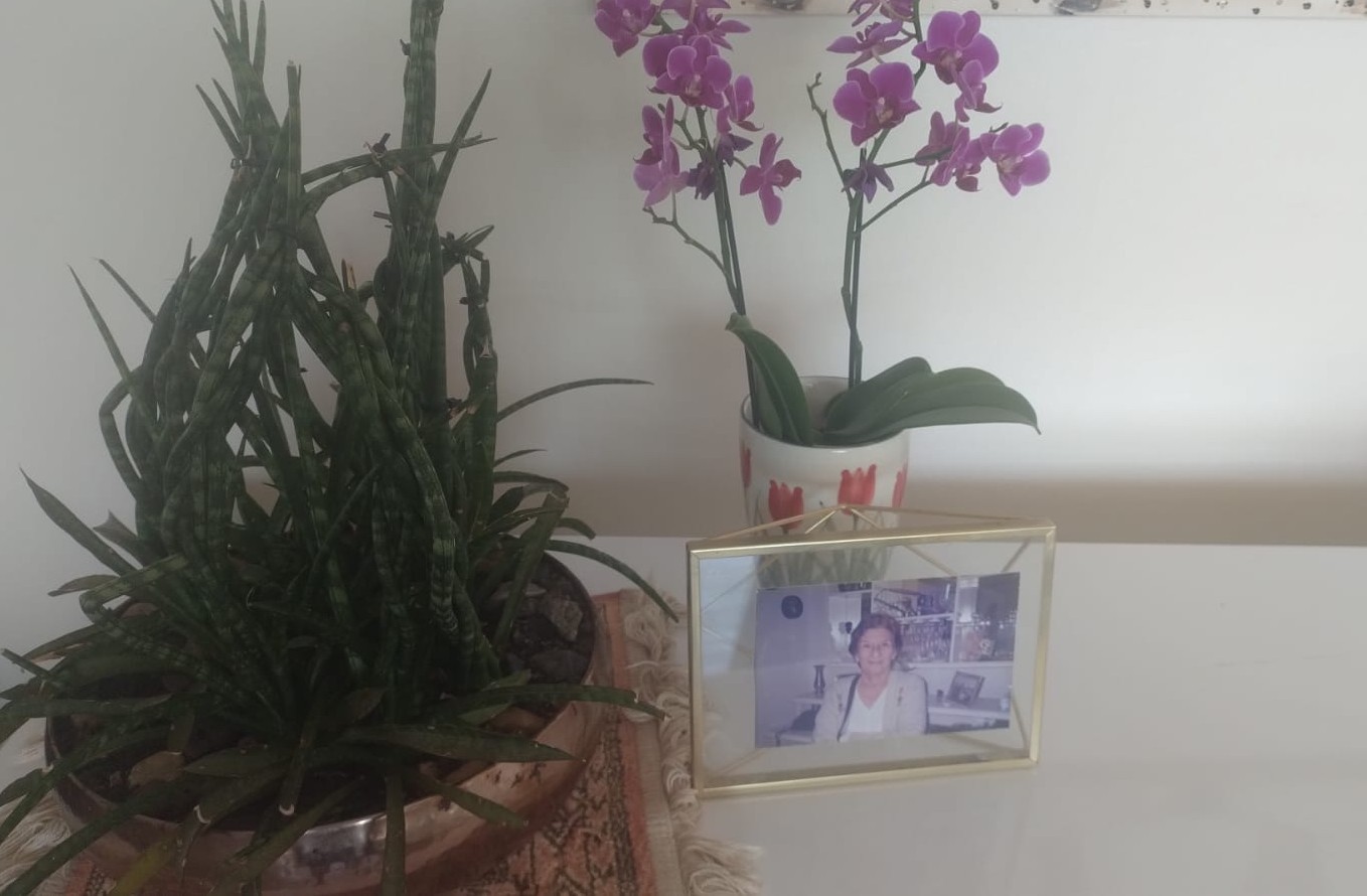 Dia de Finados: venda de flores deve crescer 5,2% com novas homenagens