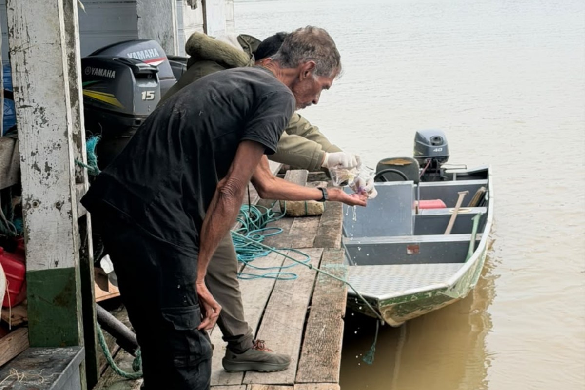 Idoso é resgatado após 25 dias perdido em floresta no Amazonas