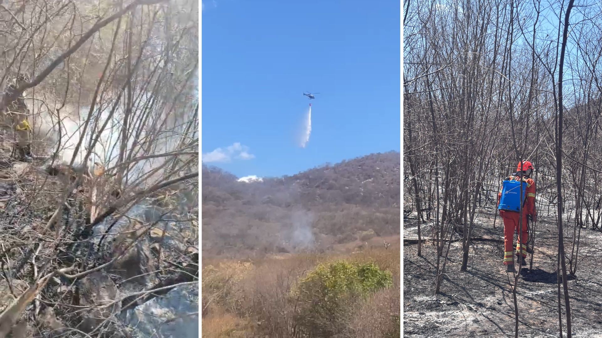 Incêndio no Sertão da Paraíba é extinto após arrasar 800 hectares