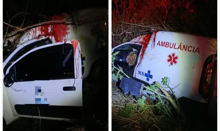 Ambulância atropela cavalo na Estrada da Produção em Montes Claros