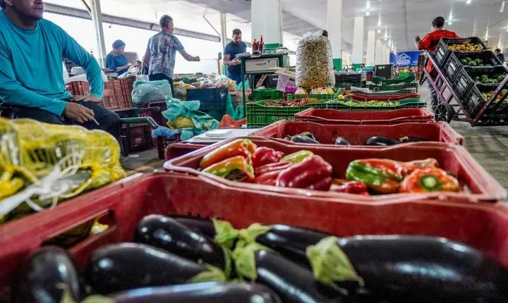 Campanha #FazAXepa combate o desperdício de alimentos no Brasil