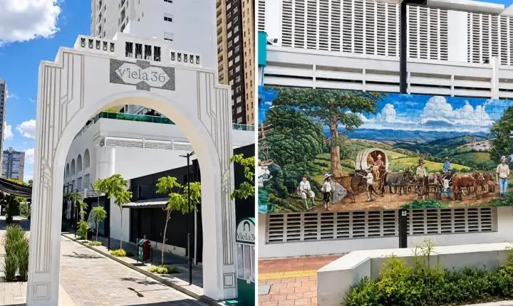 Viela 36 em Goiânia vira calçadão cultural com museu a céu aberto e espaço pet