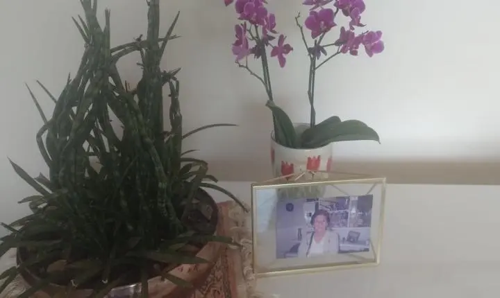 Dia de Finados: venda de flores deve crescer 5,2% com novas homenagens