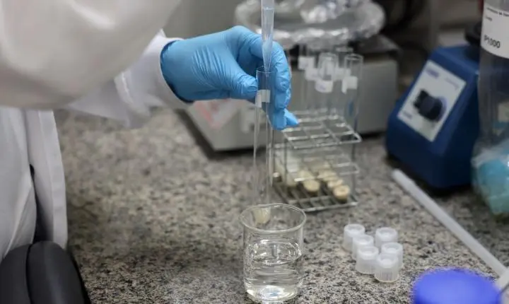 Doença de Newcastle em Santa Catarina tem protocolos sanitários cumpridos
