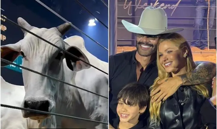 Gusttavo Lima investe em vacas de elite com valor milionário