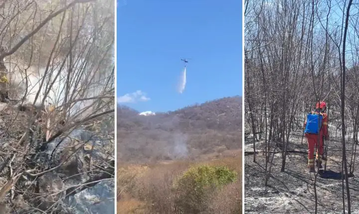 Incêndio no Sertão da Paraíba é extinto após arrasar 800 hectares