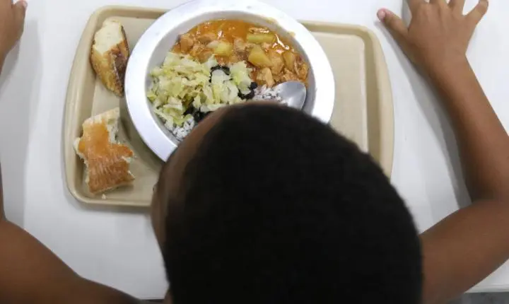 Dia Mundial da Alimentação promove inovação em Brasília com ação da ONU
