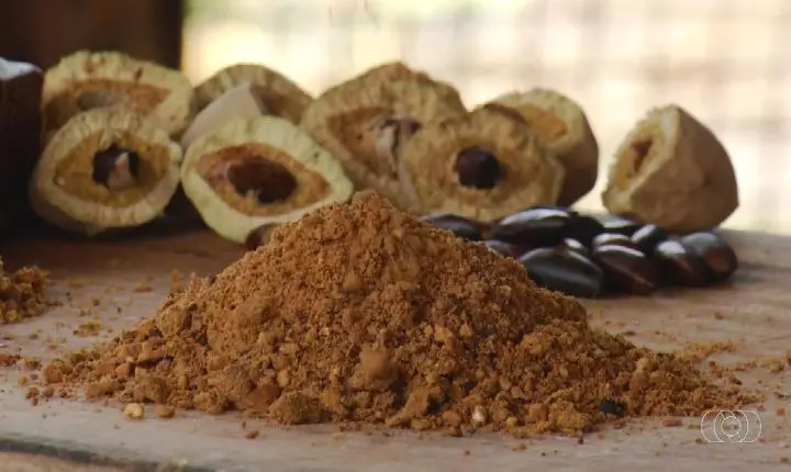 Como fazer paçoca de baru: aprenda a receita tradicional do Cerrado