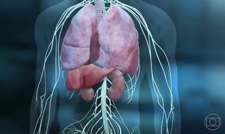 Transplante de fígado traz esperança para pacientes graves com falência múltipla
